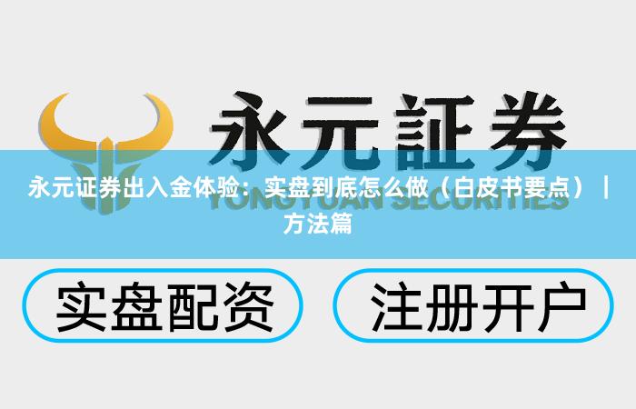 永元证券出入金体验：实盘到底怎么做（白皮书要点）｜方法篇