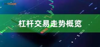 杠杆交易走势概览