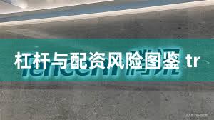 杠杆与配资风险图鉴 tr